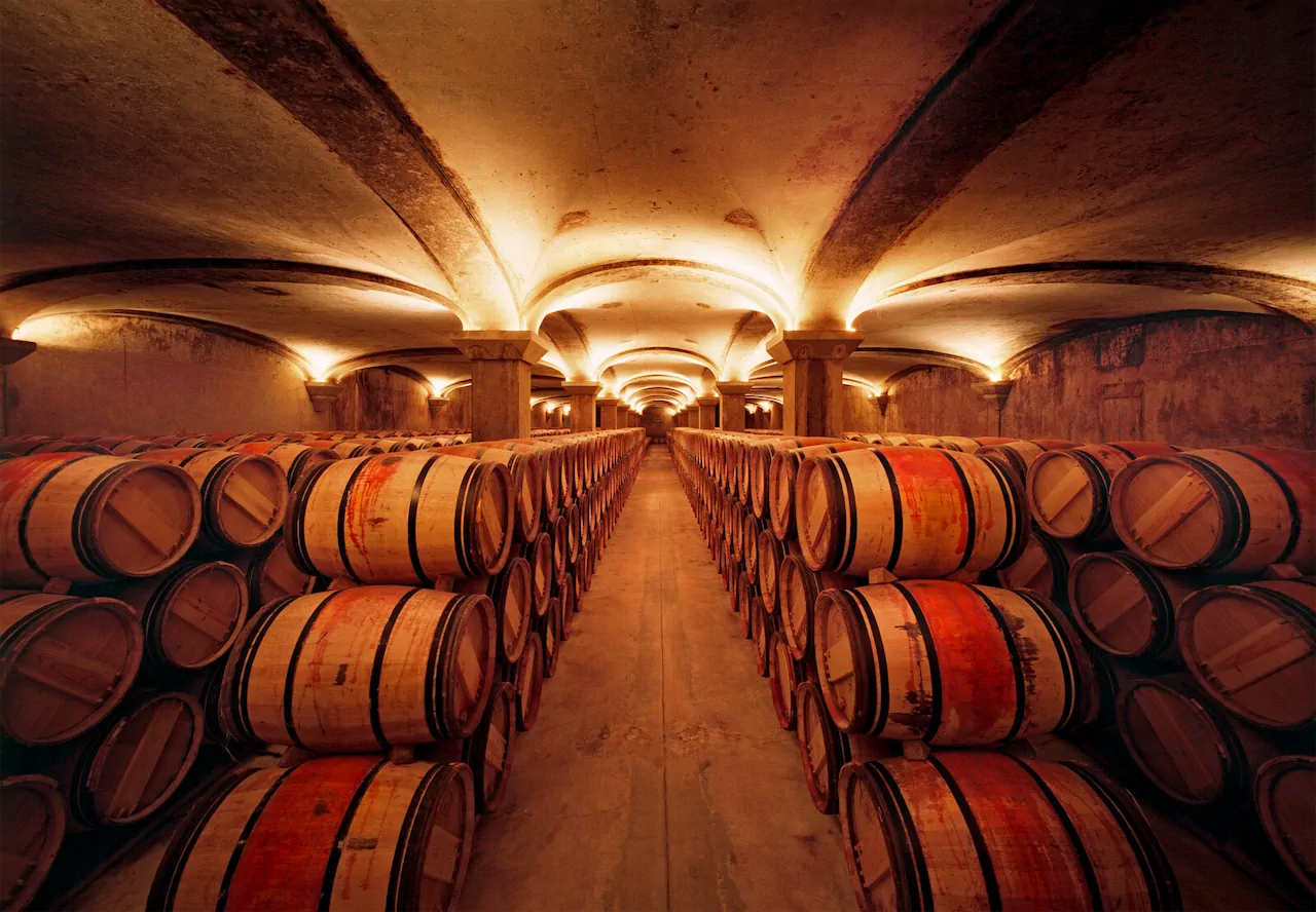 ünlü şarap mahzeni